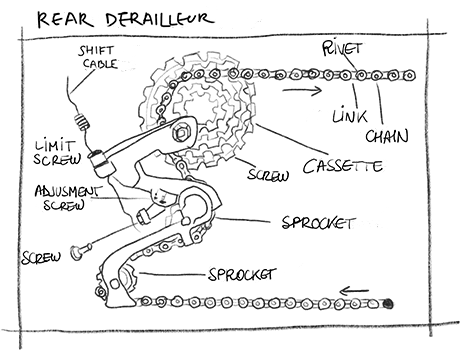 Hand-drawn exploded illustration of a a rear derailleur with labeled components indicated by arrows