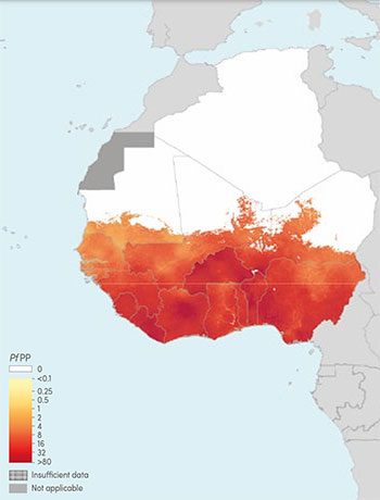 Carte Paludisme Afrique - P140