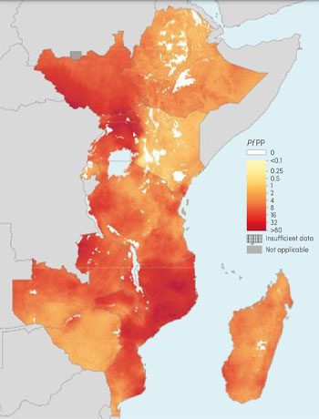 Carte Paludisme Afrique - P 144