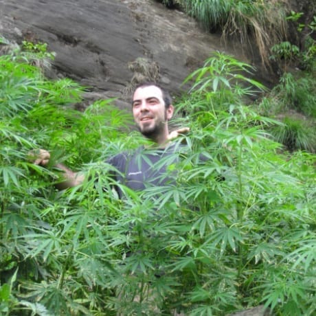François in a field of wild cannabis in Nepal