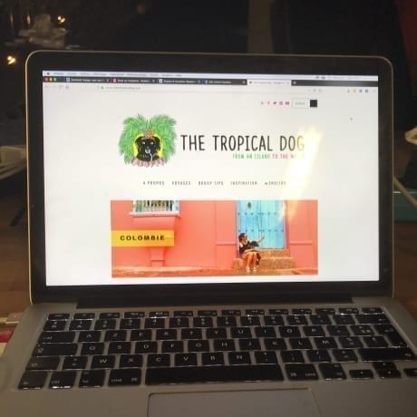 Site The Tropical Dog