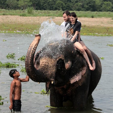 A couple of western tourists on an elephant