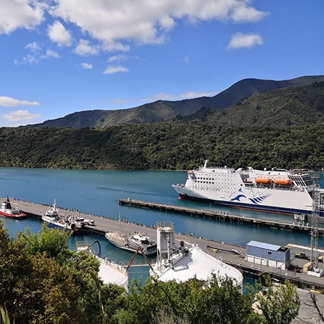Ferry Picton