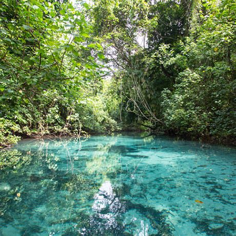 Le Blue Hole au Vanuatu