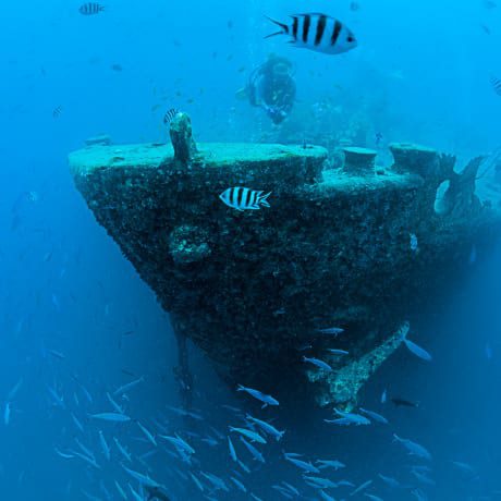 Thistlegorm shipwreck, a legendary dive