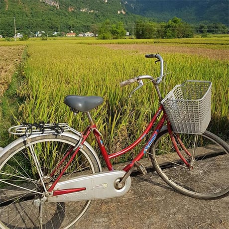 Vélo Vietnam