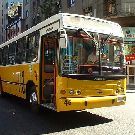 Micros Bus Chili
