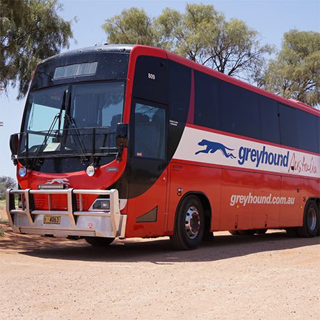 Bus Greyhound Australie