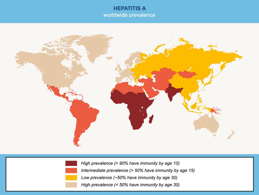 HepatiteA worldwide prevalence Map