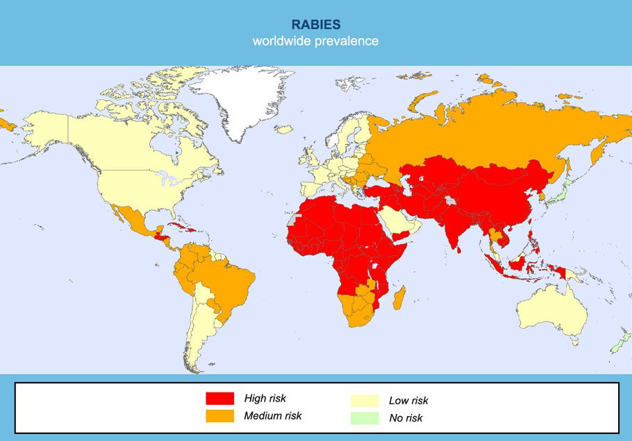 Rabies worldwide prevalence Map