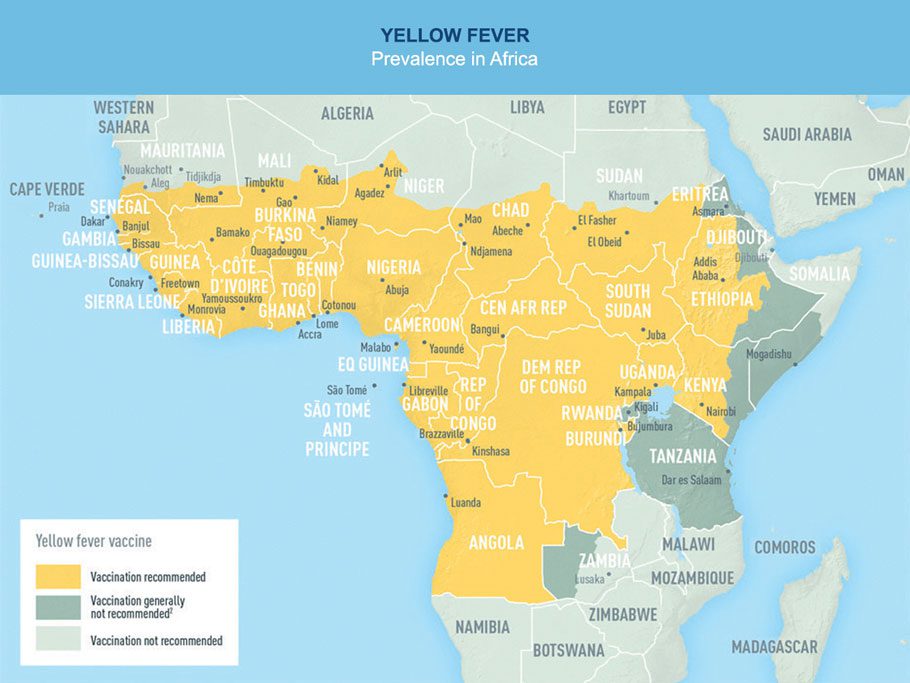 Areas with Risk of Yellow Fever Virus Transmission in Africa