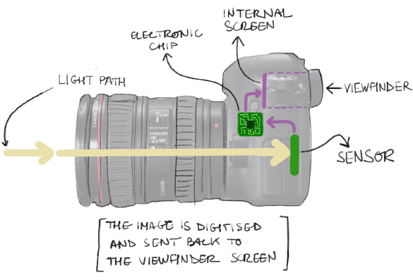 Plan of a camera with an electronic viewfinder