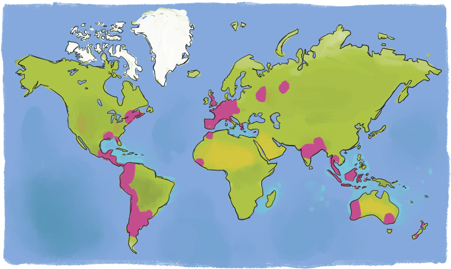 Carte du monde des voyages de François