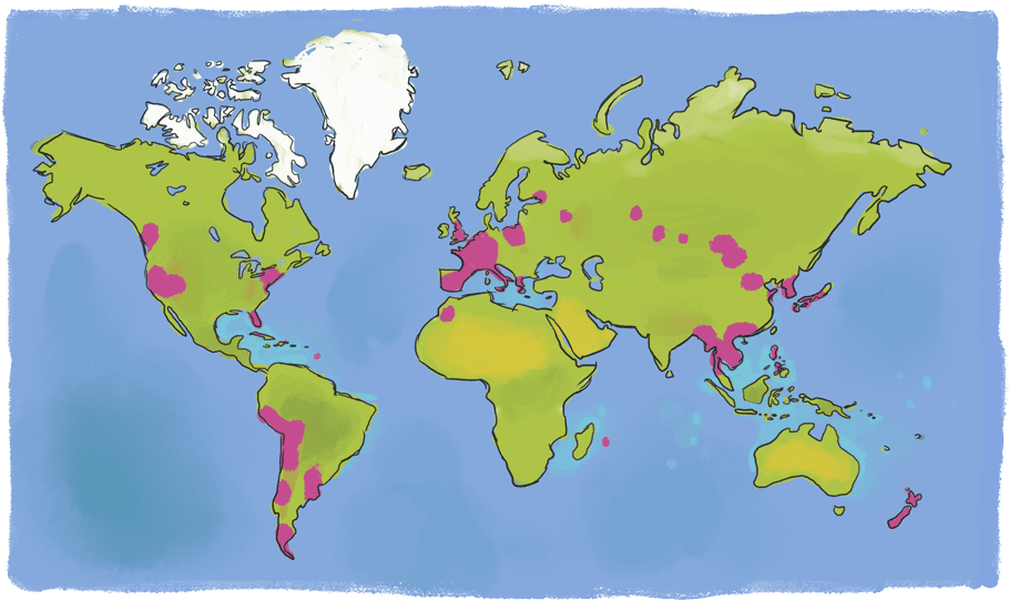 Carte du monde des voyages de Nathalie
