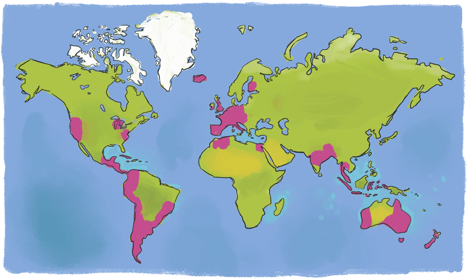 Carte du monde des voyages de Sylvain