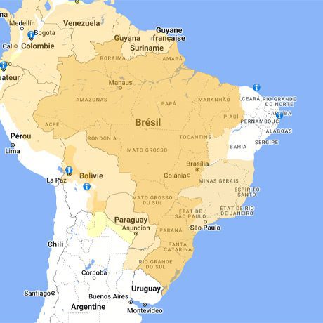 Carte Présence de Fièvre Jaune au Brésil