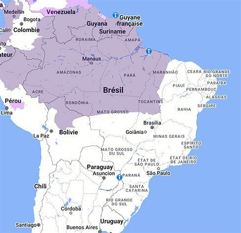 Carte Présence du Paludisme au Brésil - Institut Pasteur