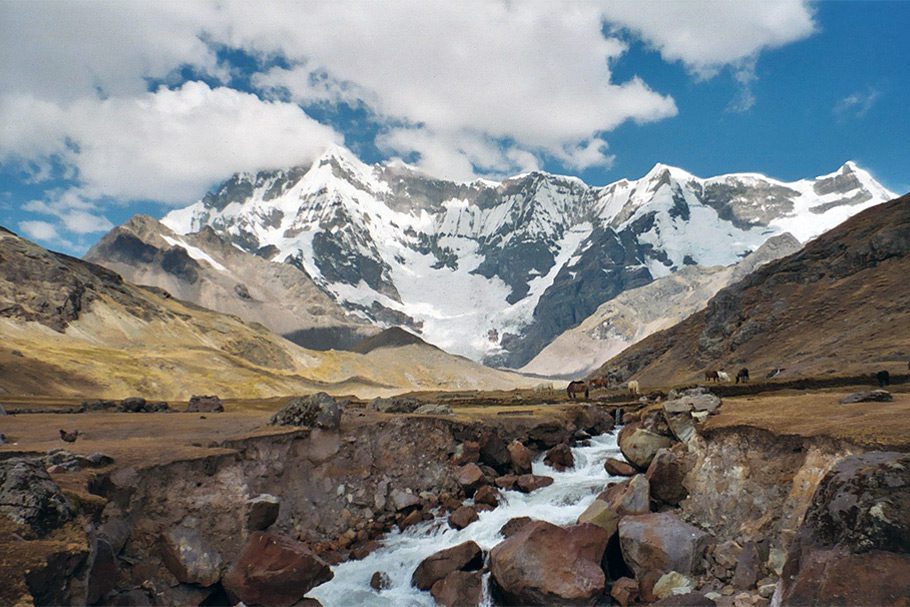 Paysages de montagne avec une rivière et des animaux durant le trek d'Ausangate