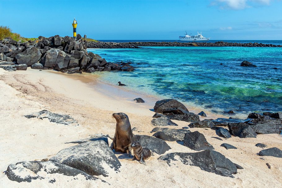 Lion de mer sur la plage aux Galapagos