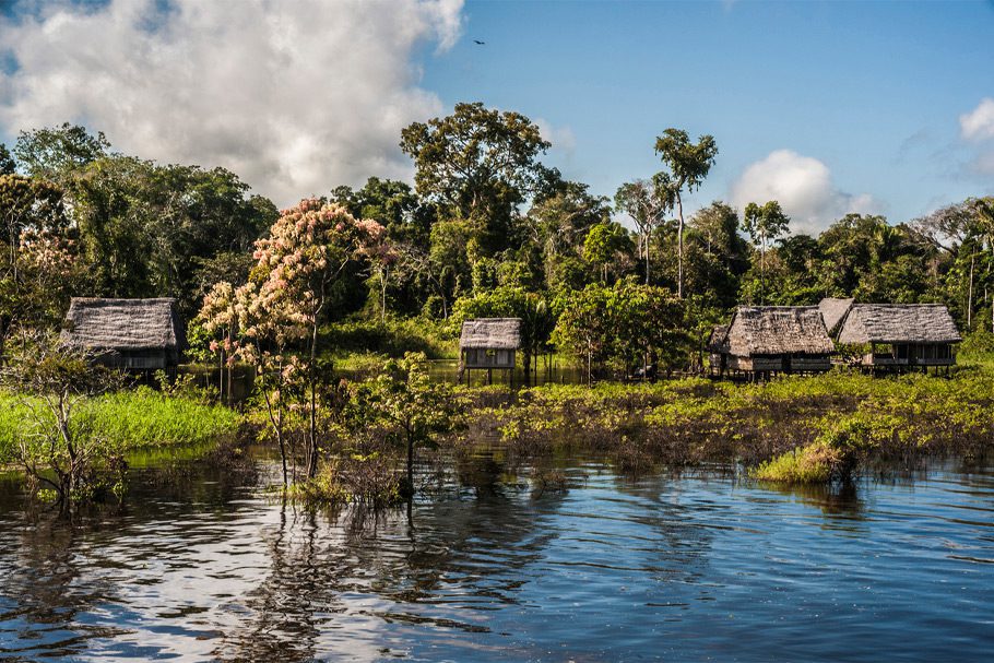 Lodge dans la reserve Pacaya Samiria