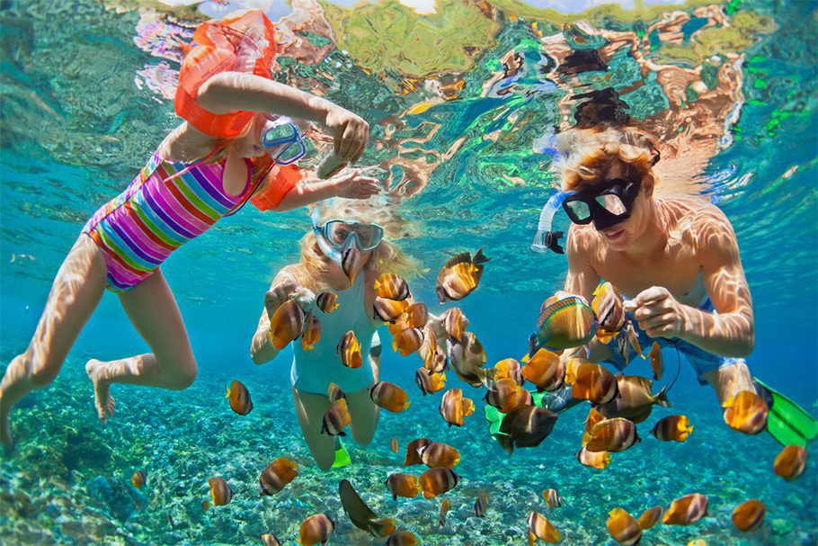 Famille pratiquant le Snorkeling au milieu des poissons colorés