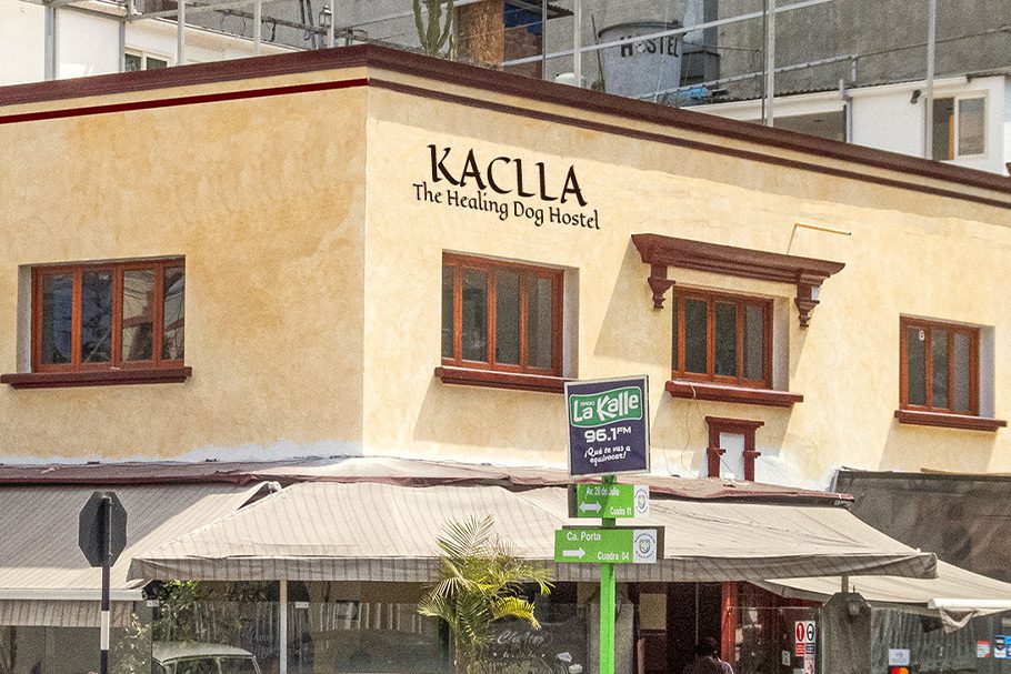 Maison Vata Exterieur Kaclla The Healing Dog Hostel Lima