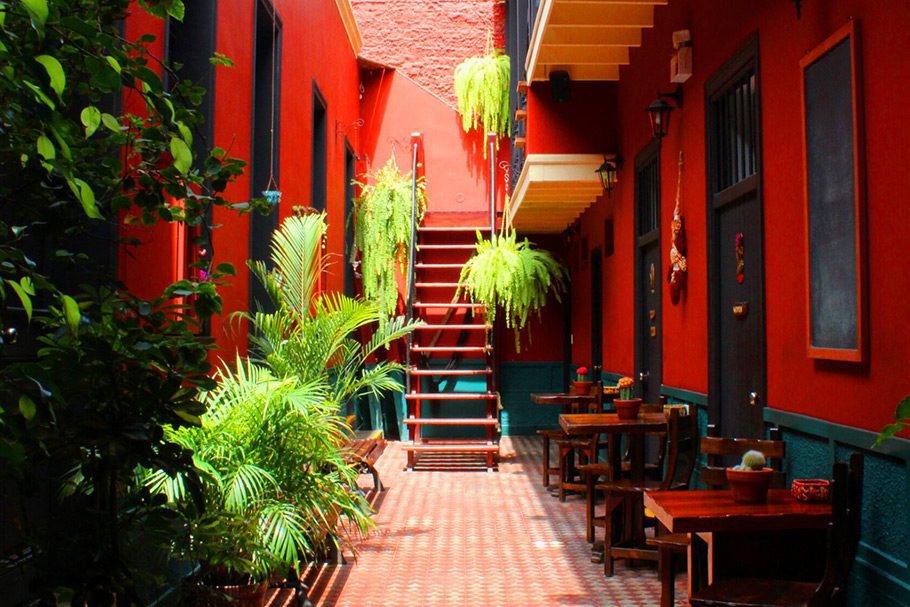 Patio Kaclla The Healing Dog Hostel Lima